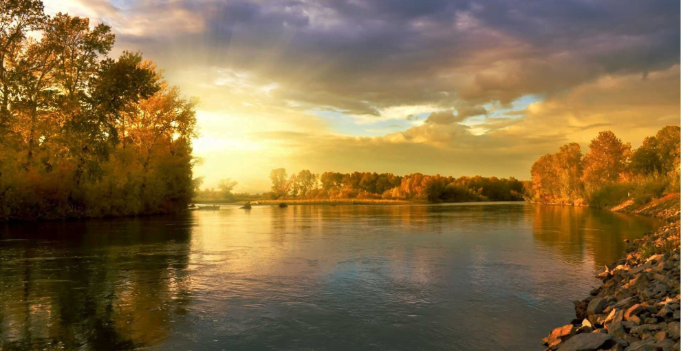 美到极致的纪录片