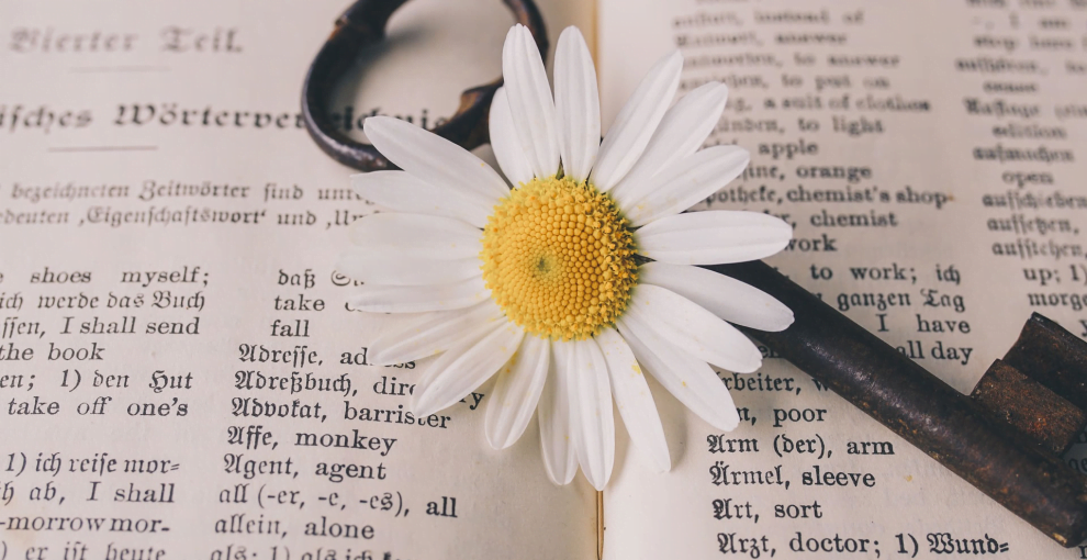 中国传统文化名词的英语翻译