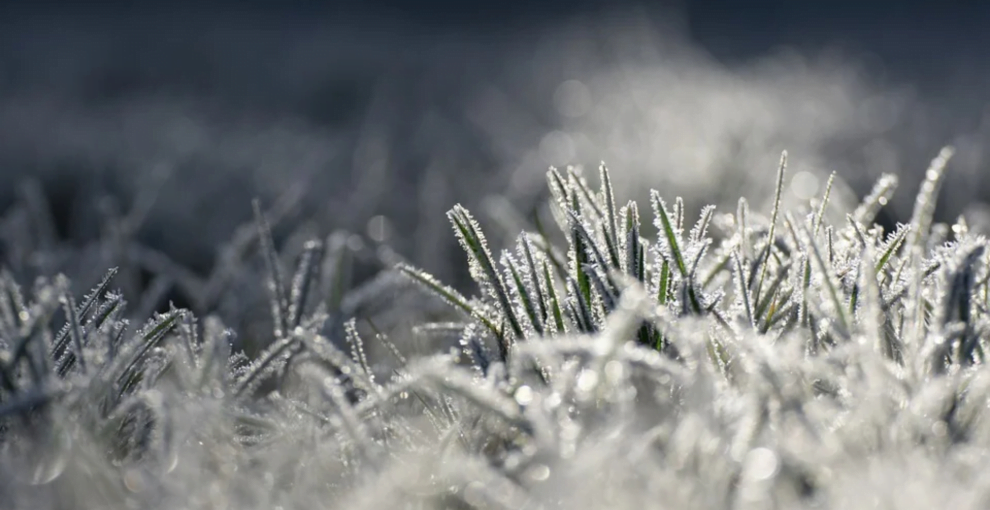 先动起来事情才会变化