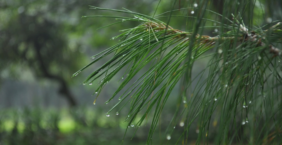 回忆是我们唯一能主宰的生活