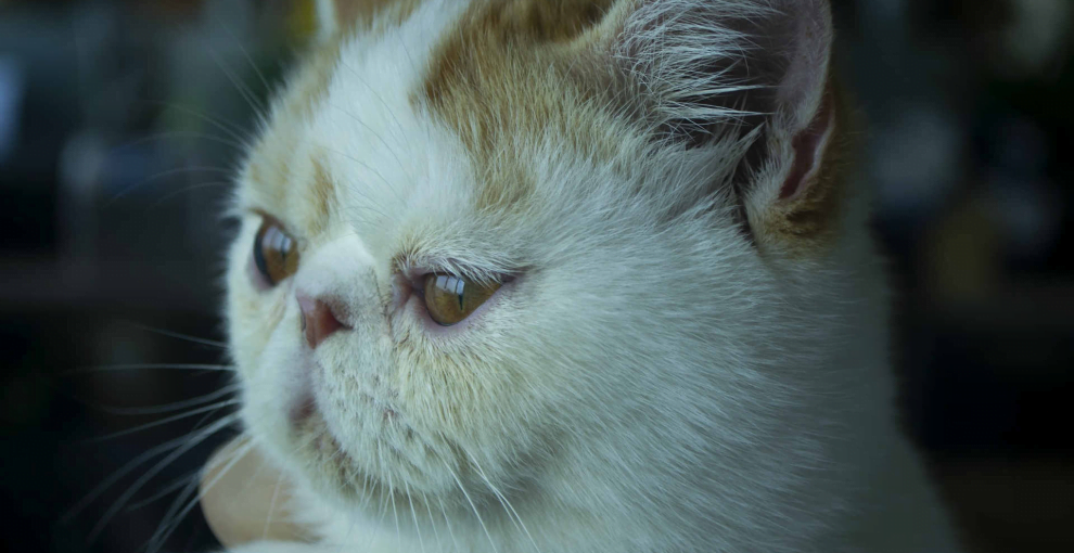 有些事永远都不要去问为什么