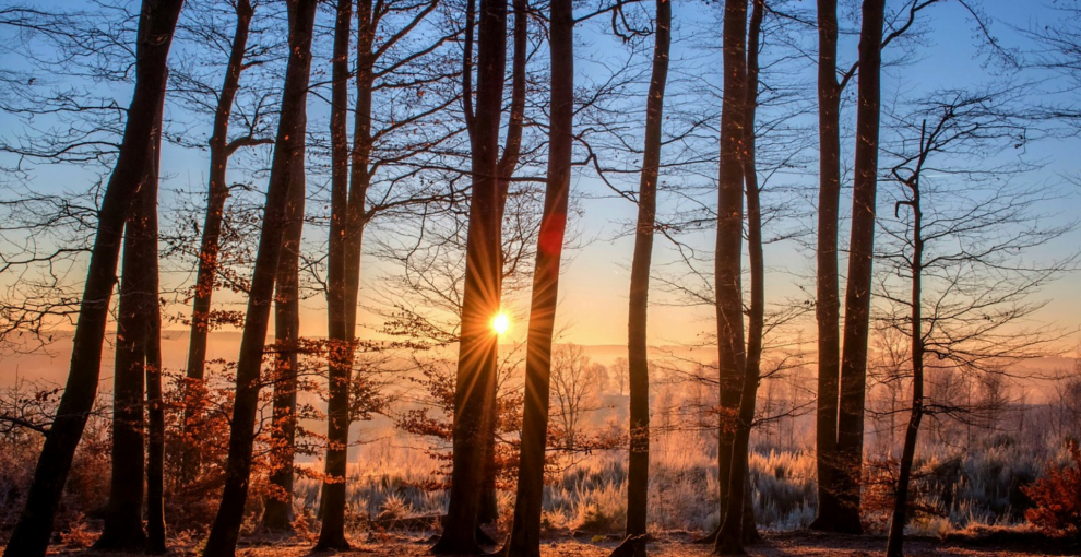 发生过的事必然再次发生