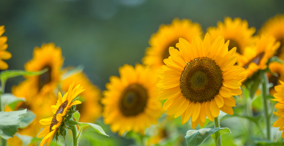 消除忧虑的方法